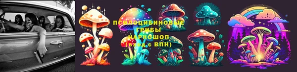 стаф Горно-Алтайск