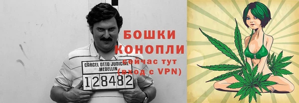 амф Горнозаводск