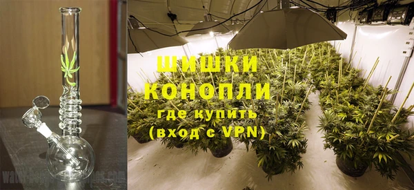 стаф Горно-Алтайск